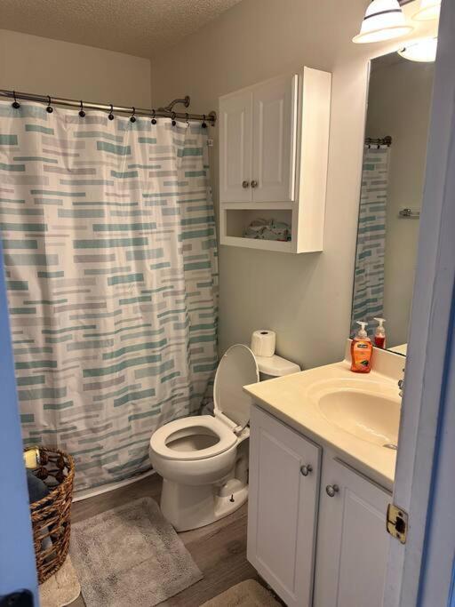 Adorable 3Br/2Ba W/ Garage 2Min Walk Ecu Health Βίλα Γκρίνβιλ Εξωτερικό φωτογραφία